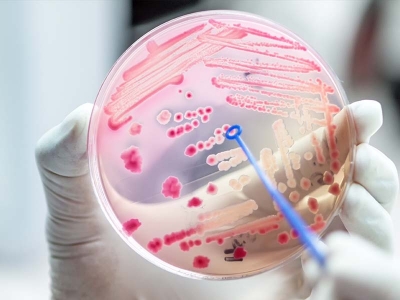 Rise of the double FELIX Logo