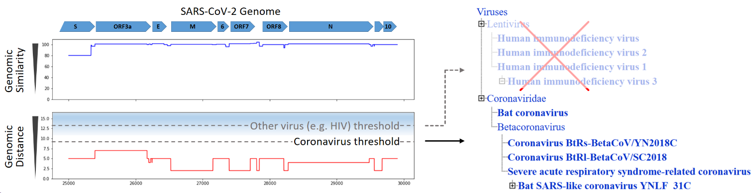 Diagram: Measurement of Genomic Similarity and Genomic Distance between SARS-CoV-2 Genome and that of Coronavirus and other viruses (e.g. HIV).